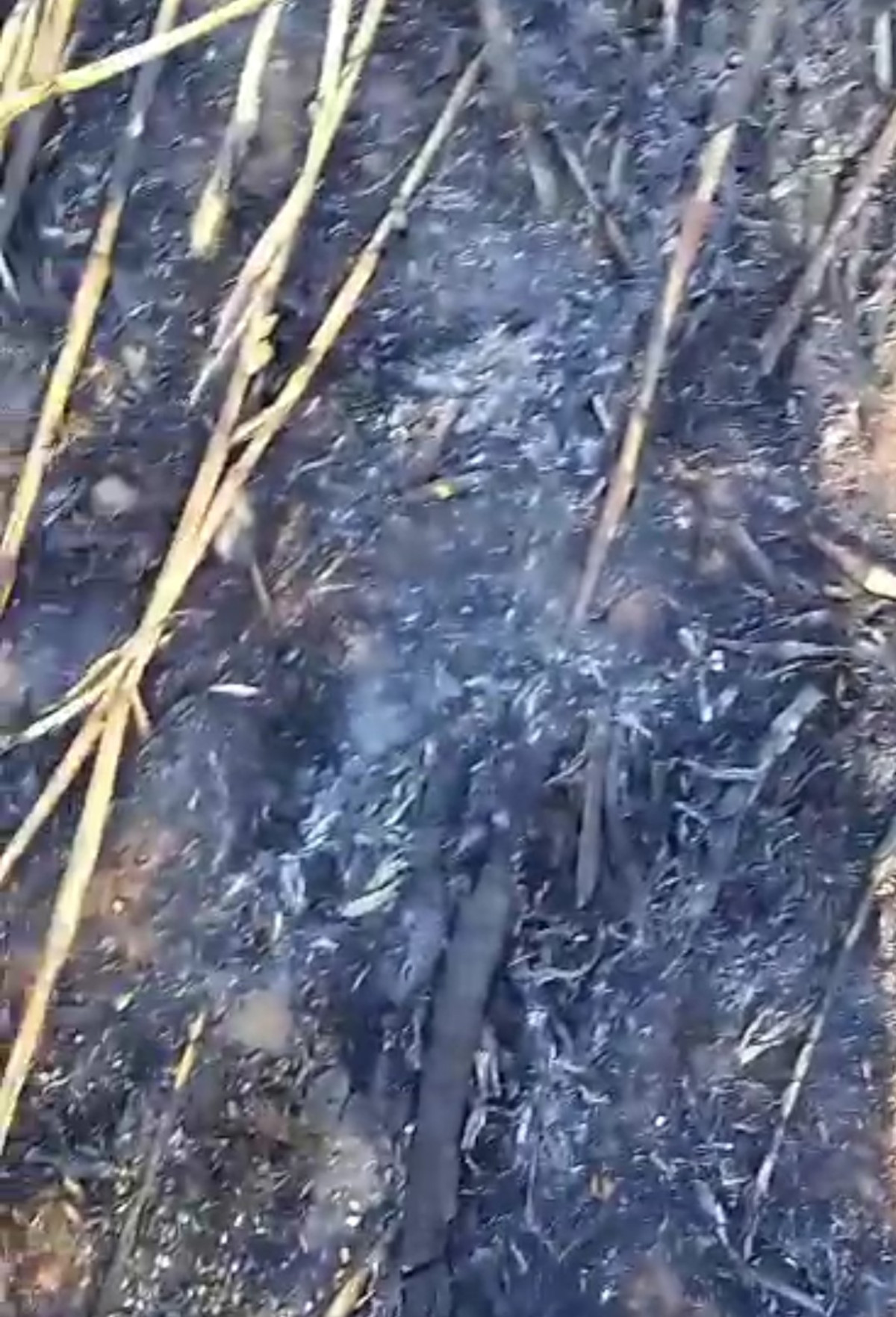 À Foutouba, les agriculteurs demandent des mesures contre les incendies dans les champs.