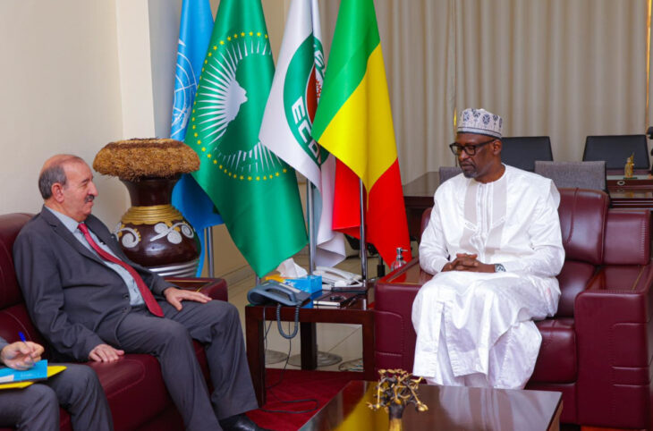 Bamako mécontent des agissements d'Alger