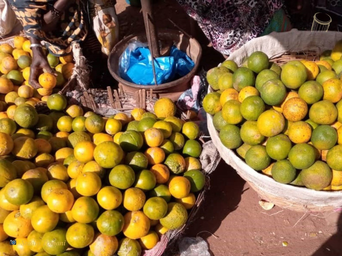 Des oranges en abondance à Sikasso 
