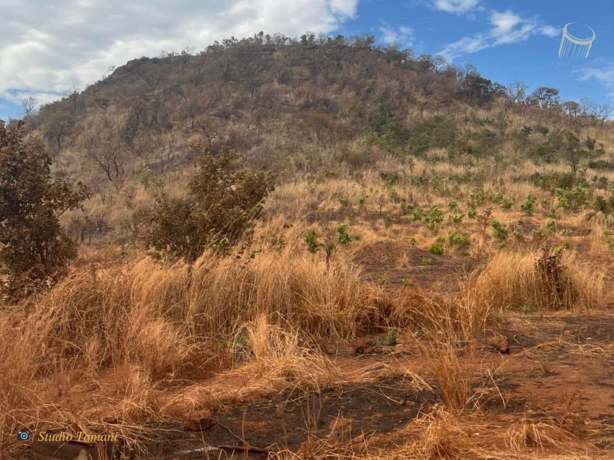 Collines et montagnes au Mali, un écosystème à protéger