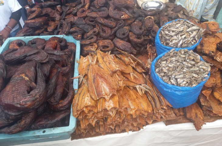 La filière poisson « vitale» pour l'économie malienne