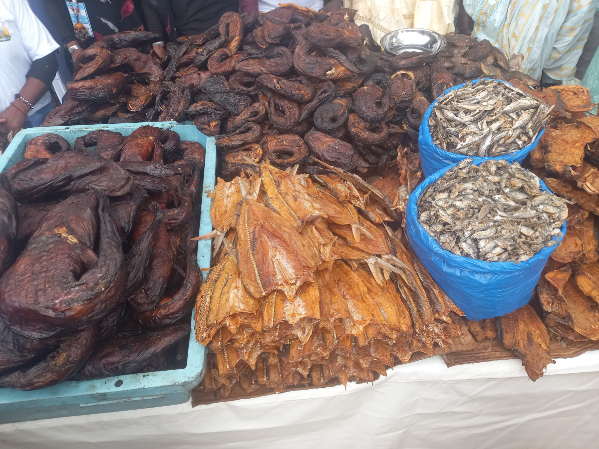 La filière poisson « vitale» pour l’économie malienne