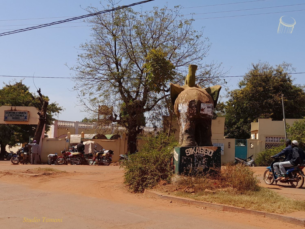 Le Mali à plus de 700 cas de dengue