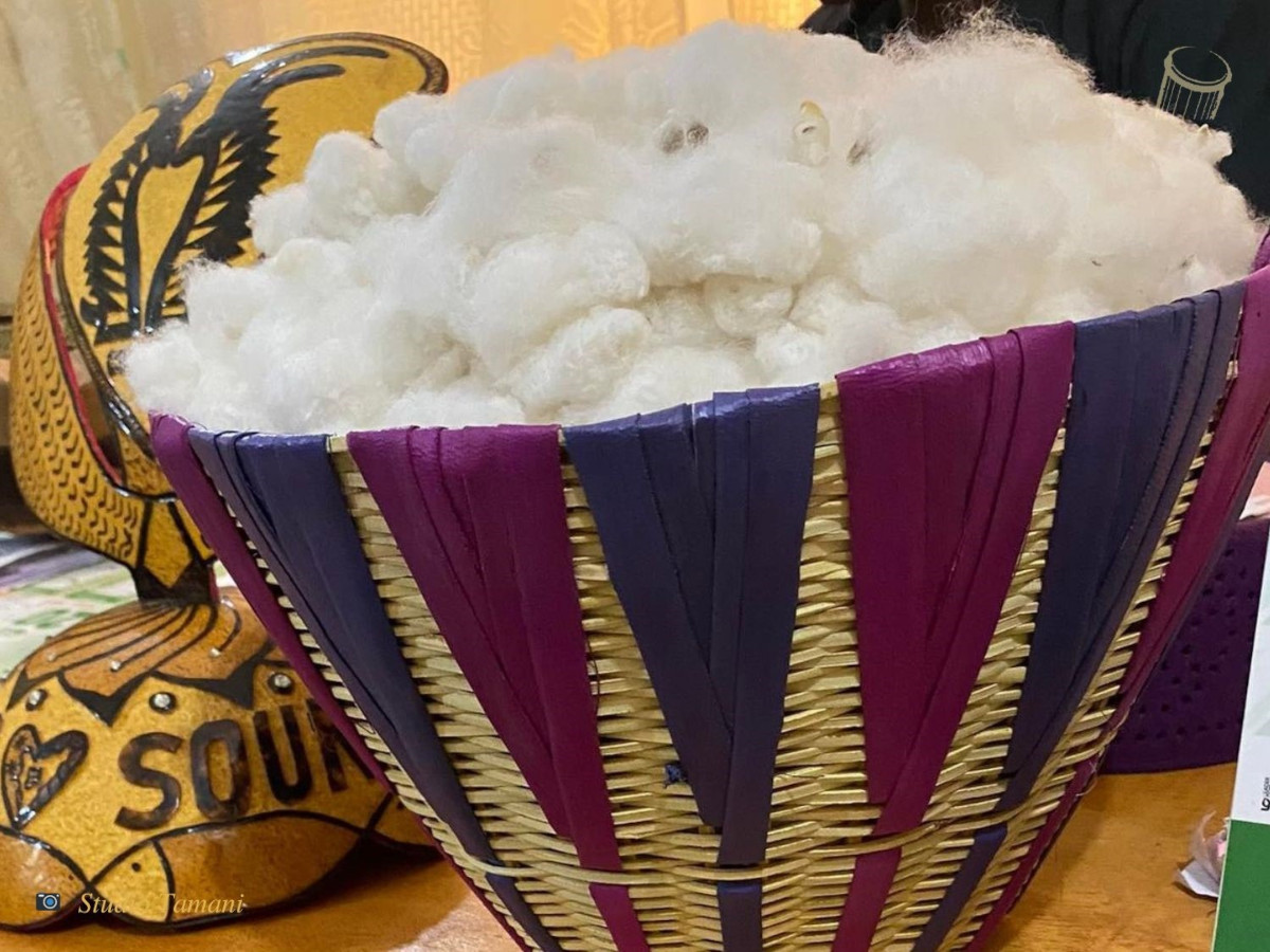 Le Mali nouveau leader du coton en Afrique