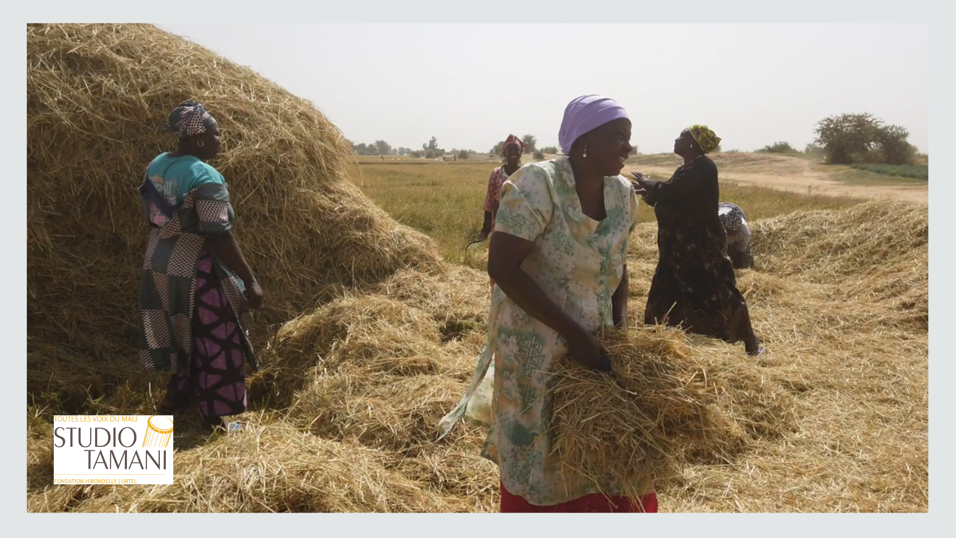 Des femmes dans les champs malgré l’insécurité