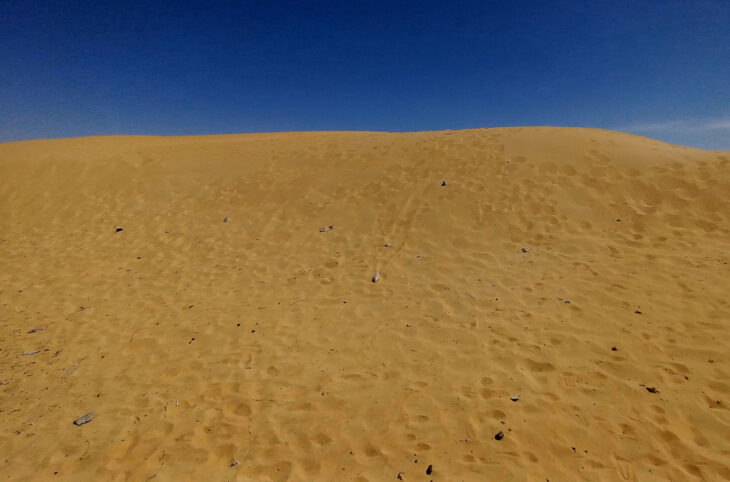 « Parlons de l’Environnement » : face à l’avancée du désert, « des citoyens se disent préoccupés »