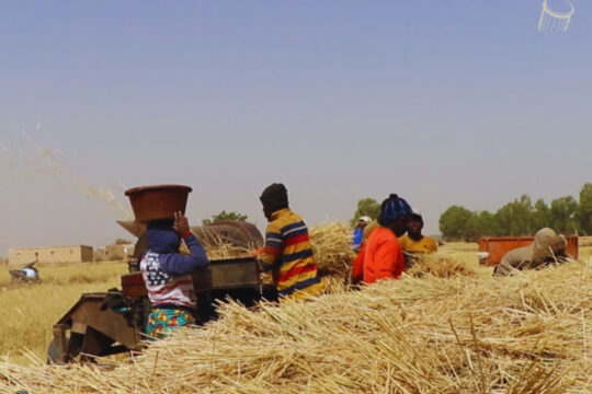 Belle récolte à l'OMVF