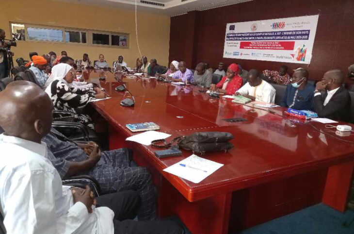 Enfants soldats au Mali : vers une stratégie nationale de prévention et d'intervention