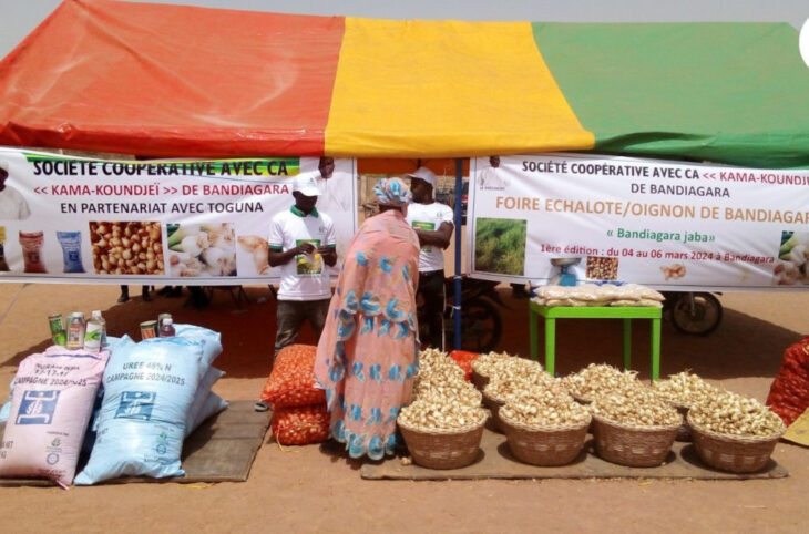 La foire de l’échalote, une liesse pour les producteurs de Bandiagara