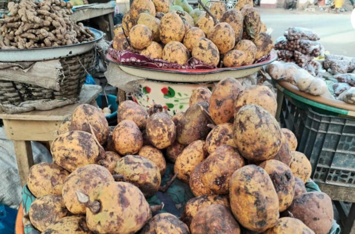 Saba senegalensis ou zaban, un marché mal encadré