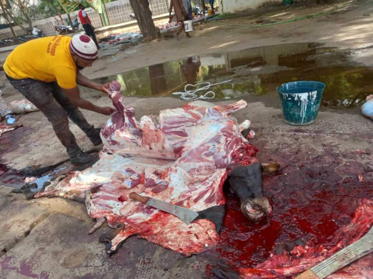 Délestage et conservation de la viande : le casse-tête des ménagères