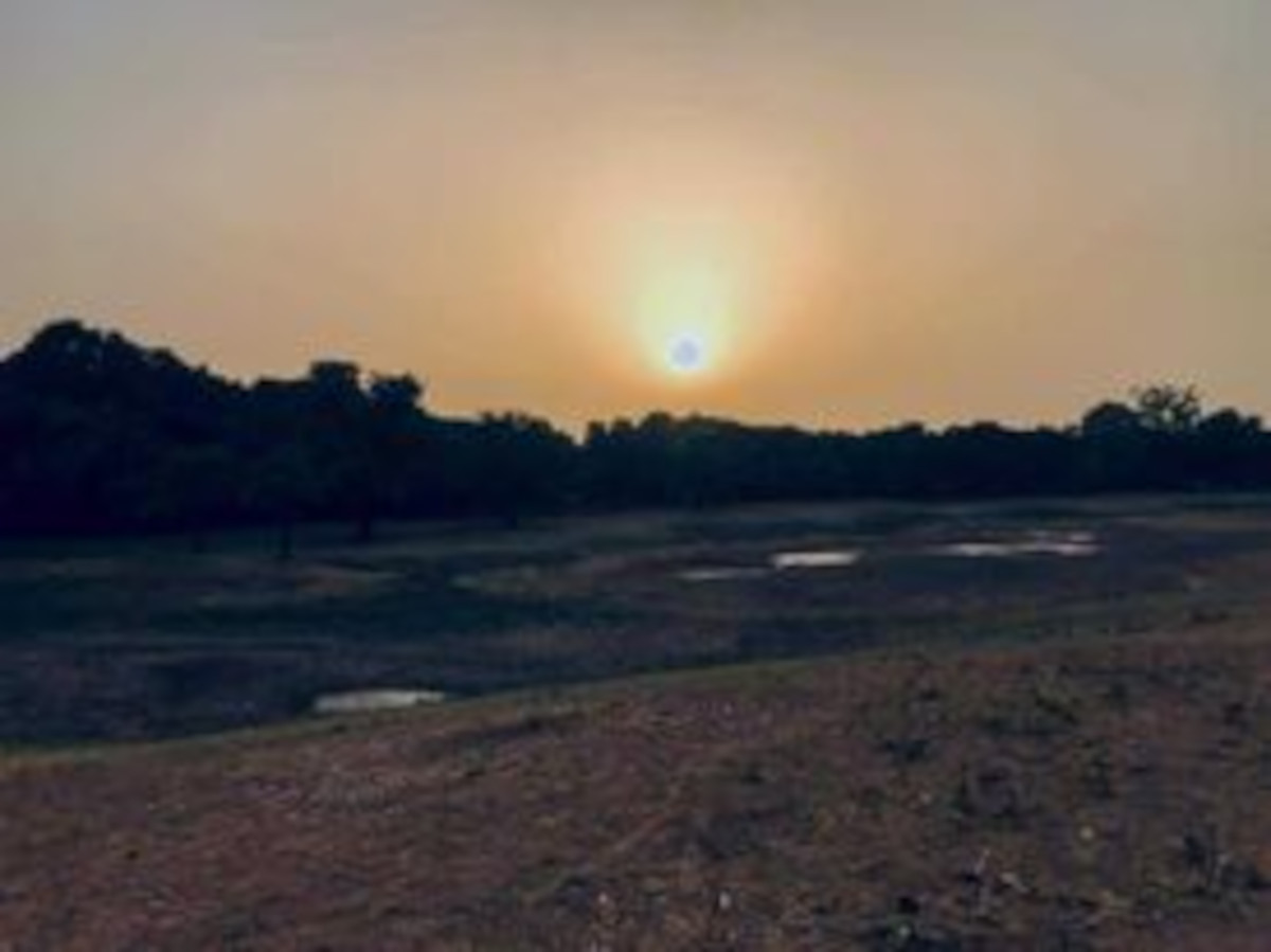 Journée mondiale de la terre, le dérèglement climatique s’accentue de plus en plus au Mali