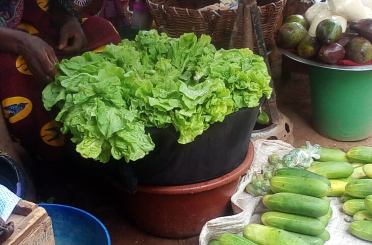 Une hausse du prix de la salade constatée à Koutiala