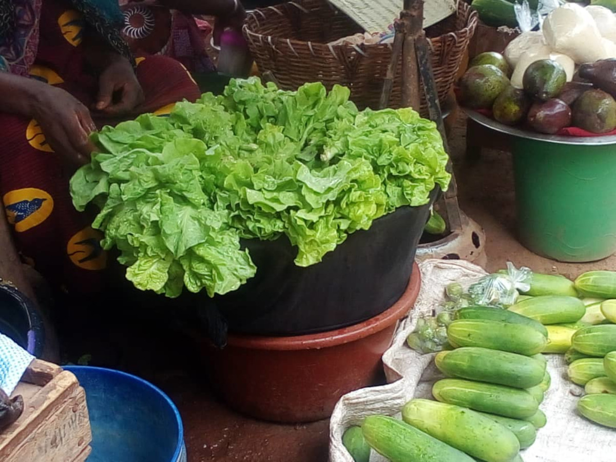 Une hausse du prix de la salade constatée à Koutiala