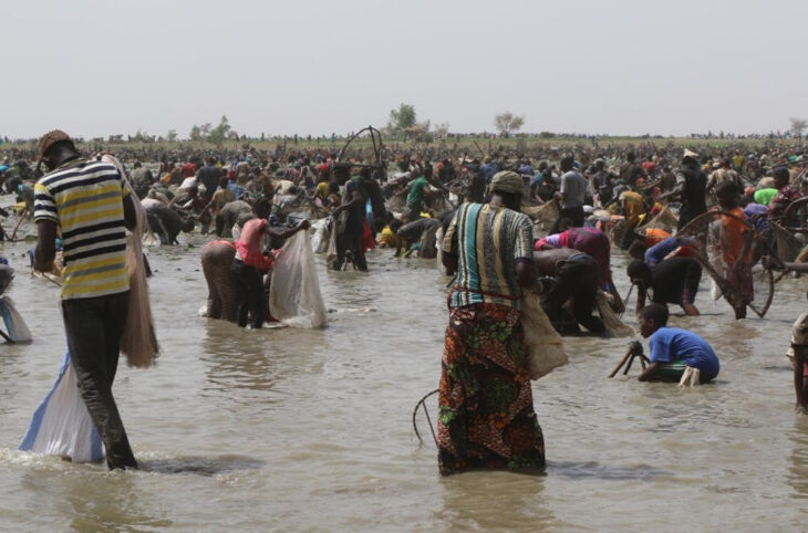 La pêche collective de San, une tradition toujours vivante après 600 ans
