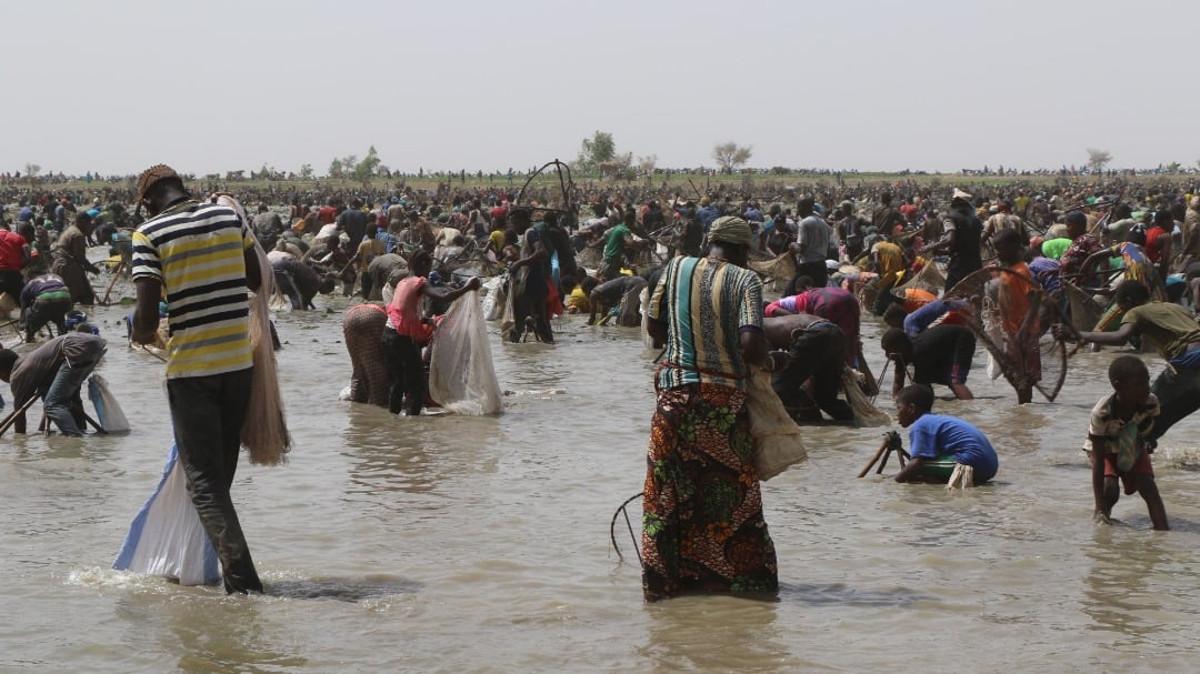 La pêche collective de San, une tradition toujours vivante après 600 ans