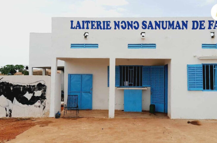Coopérative laiterie de Fana : 105 000 litres de lait collectés en 2023