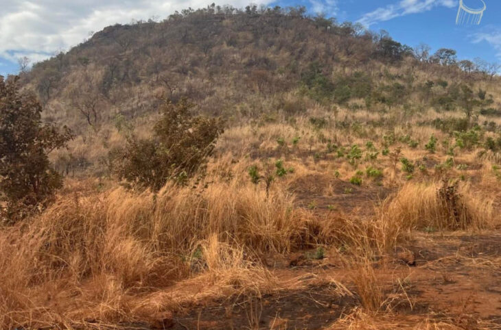 Nous vivons à crédit sur terre depuis le 1er août