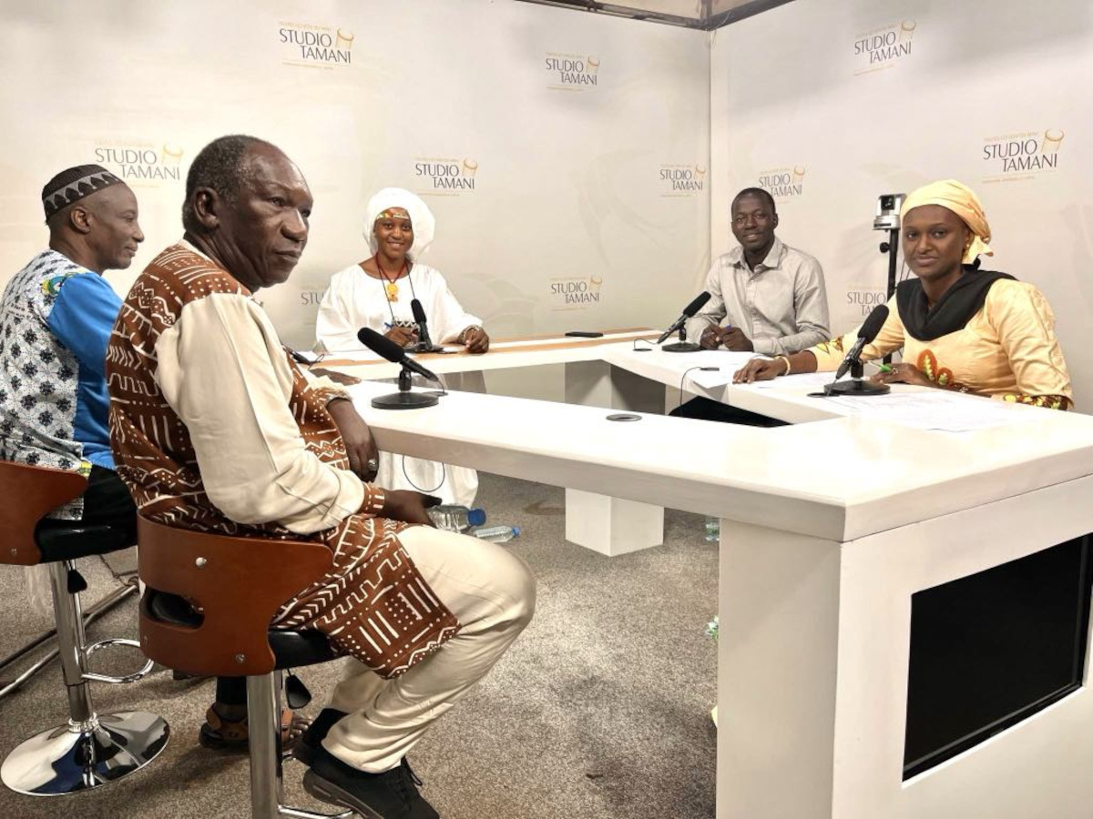 1960-2024 : quel parcours pour la culture malienne ?