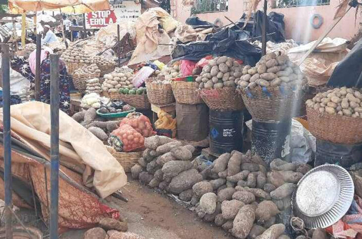 La pomme de terre et l'oignon de moins en moins chers à Koury