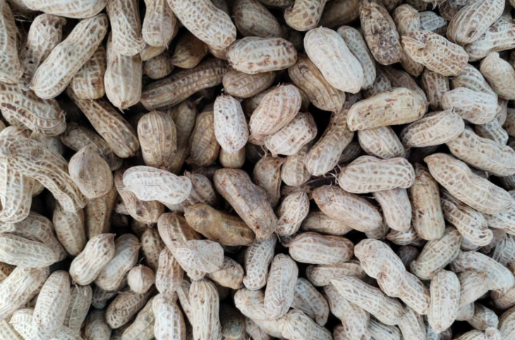 Mali : l'interdiction d'exportation de produits agricoles diversement appréciée