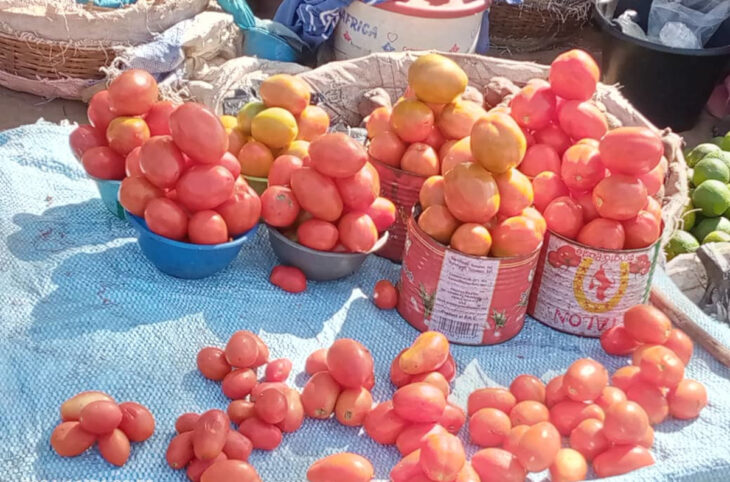 À Sikasso, le prix des tomates fraîches monte en flèche