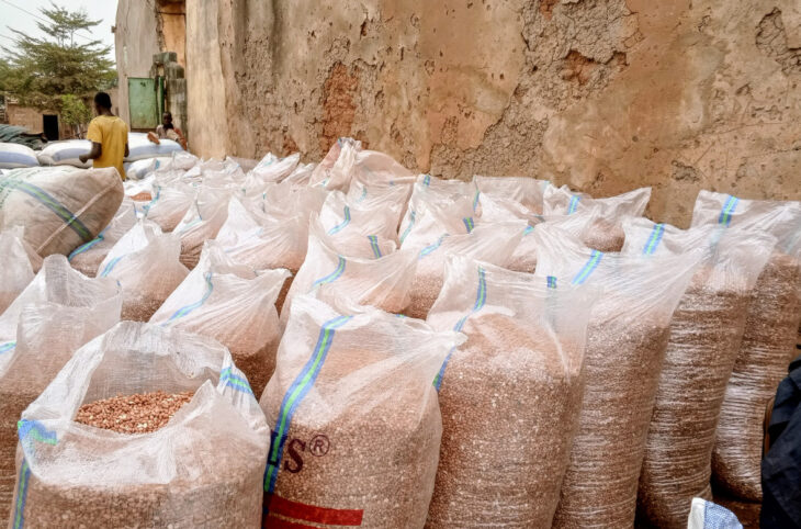 Les producteurs d’arachide dénoncent des prix imposés et s’orientent vers le sésame à Bafoulabé