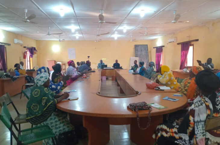 Koutiala : l’agro-business en adaptation avec le changement climatique