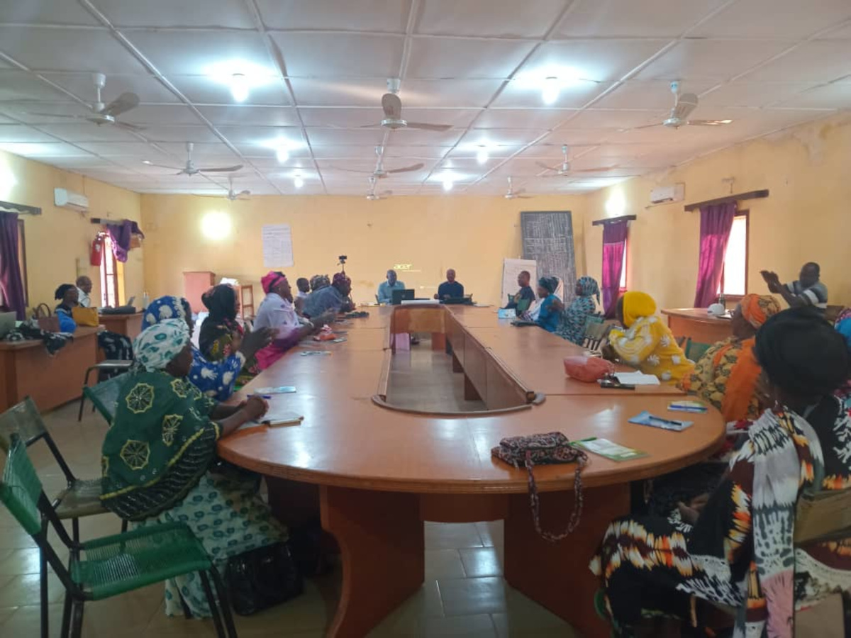 Koutiala : l’agro-business en adaptation avec le changement climatique