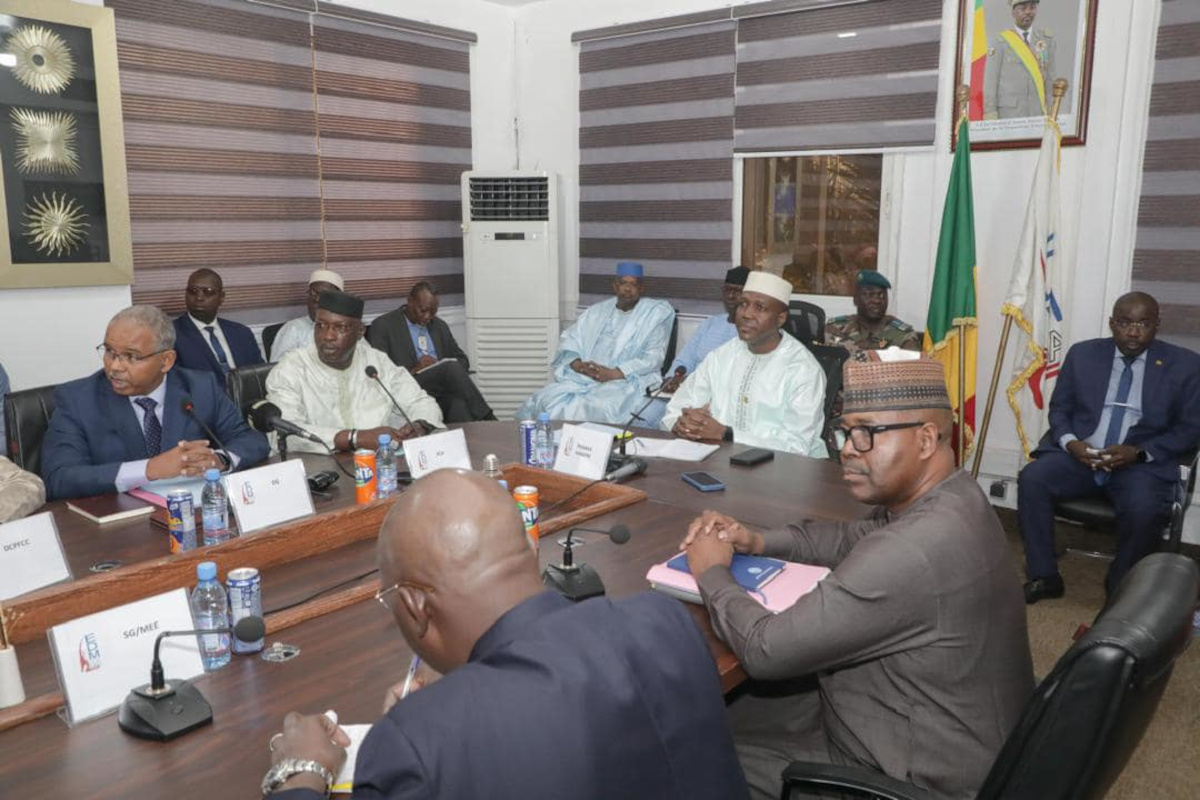 Crise de l’énergie au Mali : EDM formule ses recommandations au gouvernement