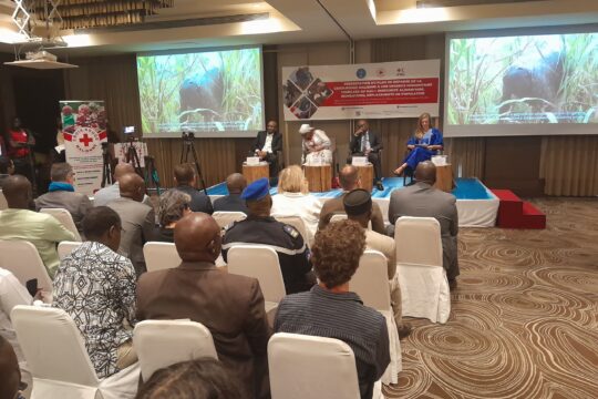 Situation humanitaire : vers des solutions durables pour les personnes déplacées internes