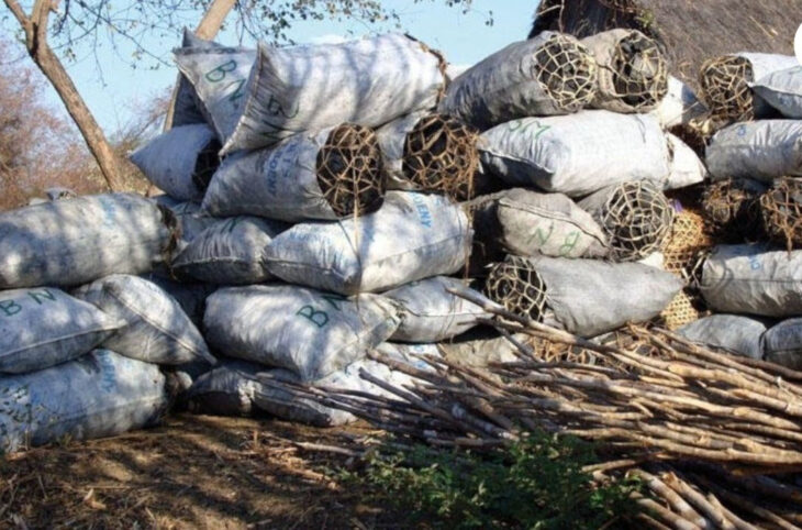 La saison froide et la ruée vers le charbon et le bois de chauffe