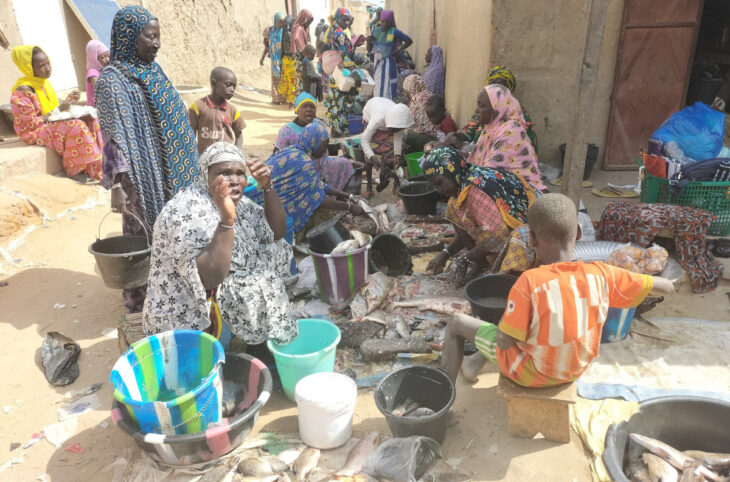 Le poisson en abondance à Bankass et Youwarou