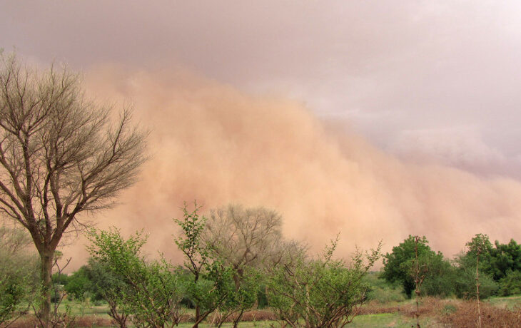 Le vent, un phénomène naturel avec des méfaits et des bienfaits