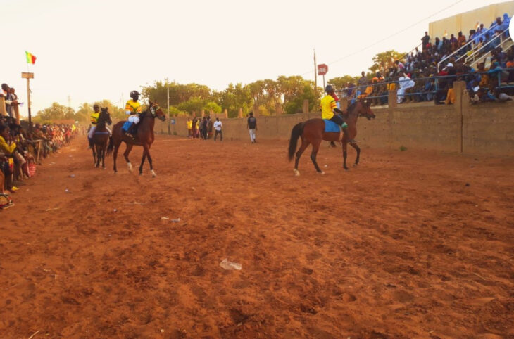 Ouverture de la saison hippique à Nioro du Sahel