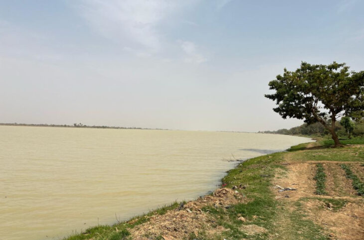 Fleuve Niger: les enjeux d'une survie