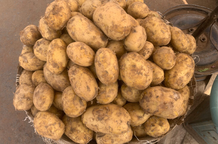 Hausse du prix des tubercules à Koulikoro