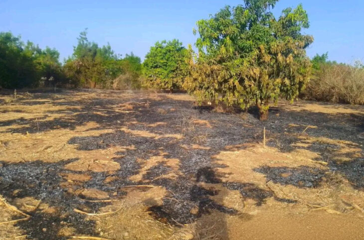 Un incendie a ravagé une zone agricole de Bafoulabé le jeudi 13 mars