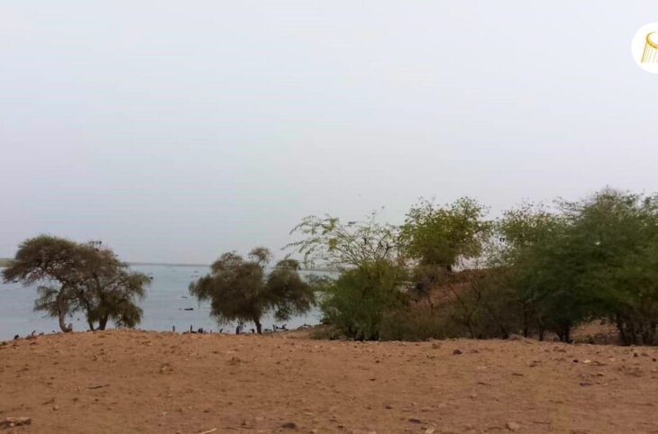 Sept hommes présumés coupables ont été interpellés par les forces de l'ordre d'Ansongo