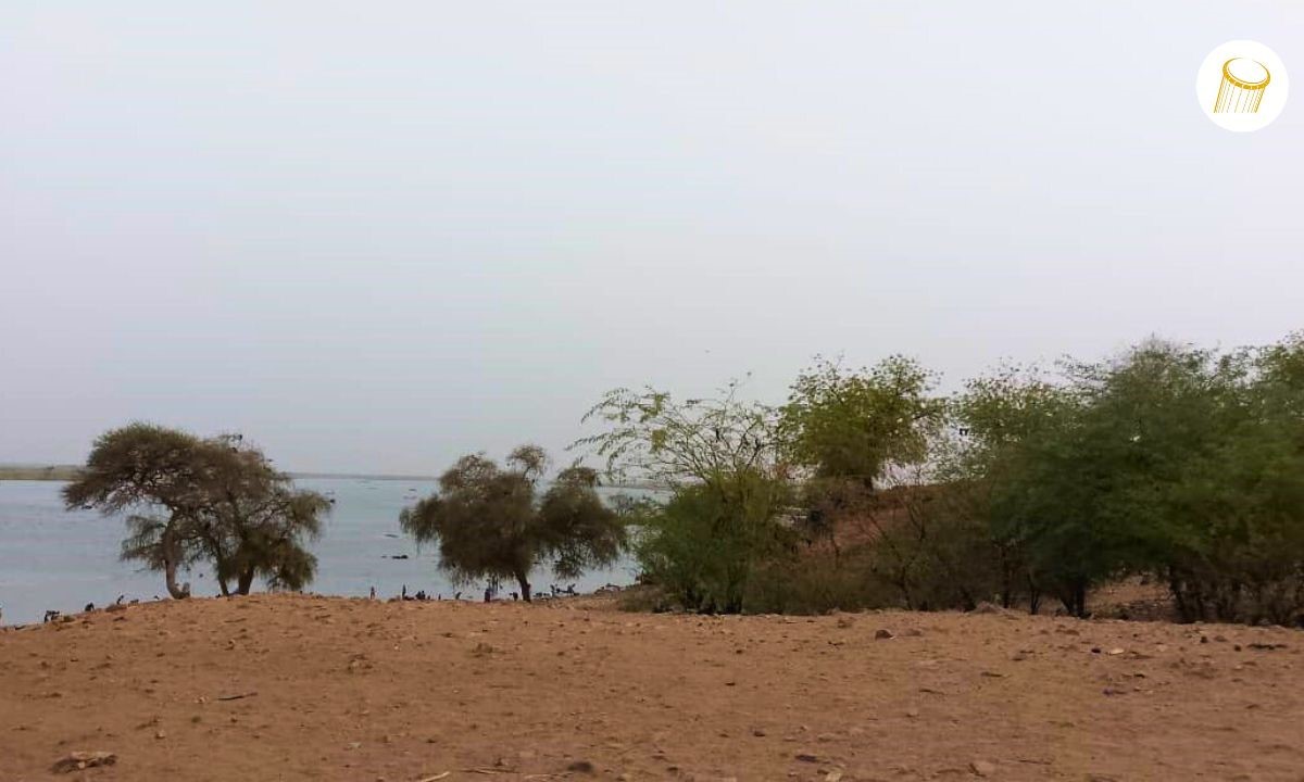 Sept hommes présumés coupables ont été interpellés par les forces de l’ordre d’Ansongo