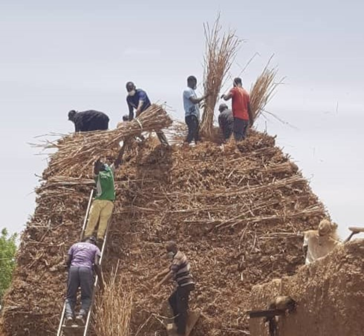 Bandiagara : le Toguna de Anda Koukoudjou Ouologuem fait peau neuve