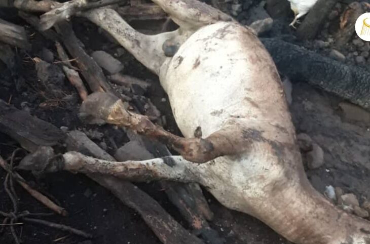 Les vivres d’au moins six familles partis en fumée dans le cercle de Bafoulabé