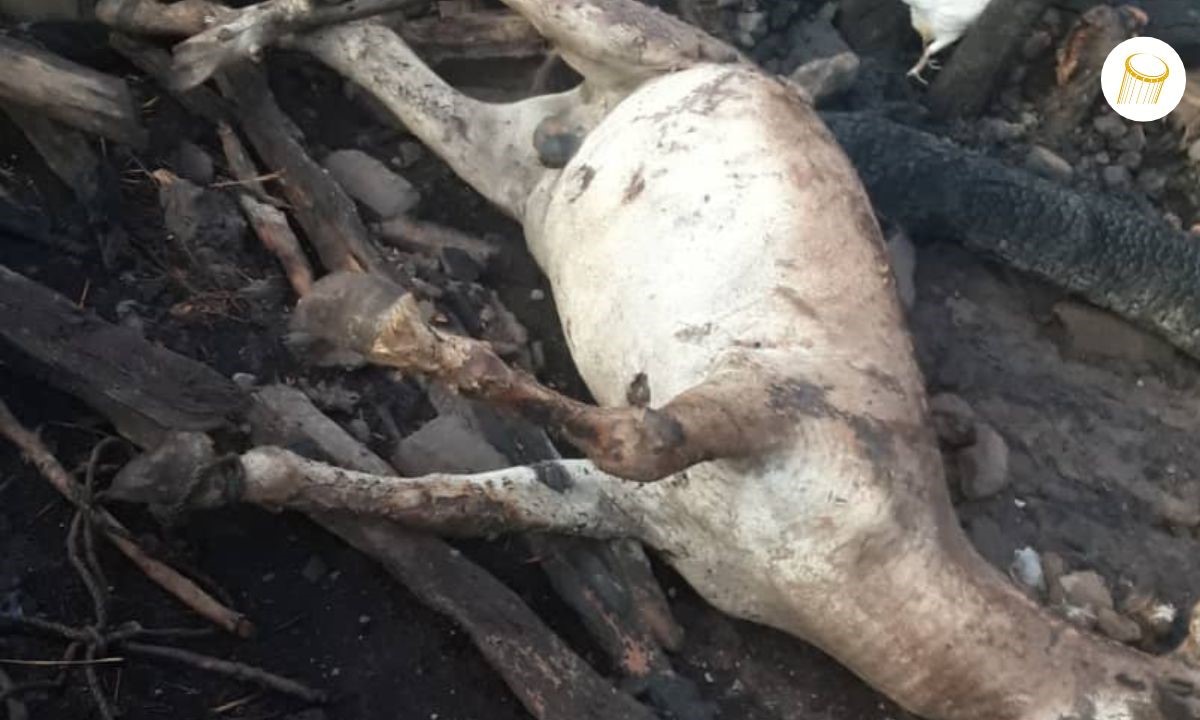 Les vivres d’au moins six familles partis en fumée dans le cercle de Bafoulabé