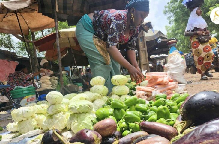 Macina : baisse des prix de certains produits maraîchers