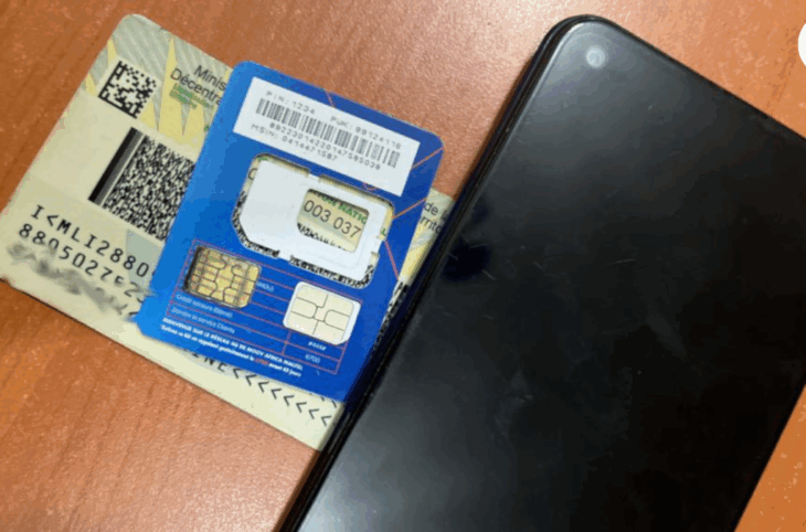 Identification des puces : une faille qui inquiète