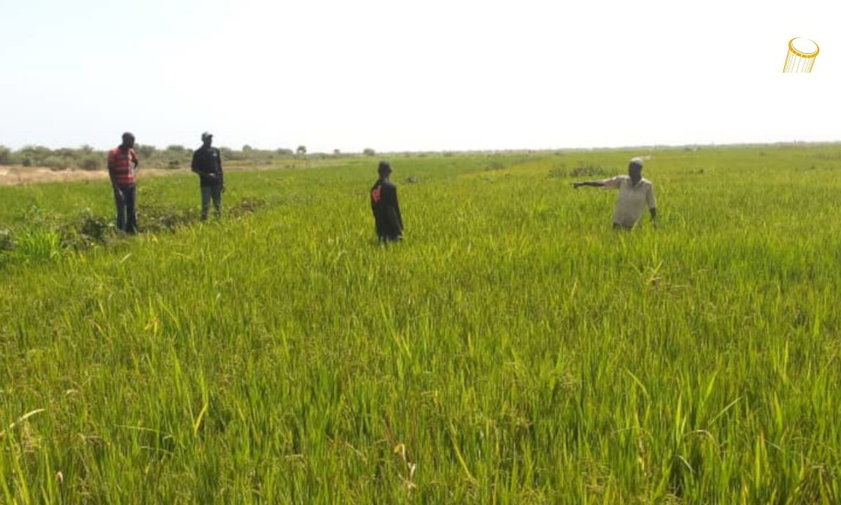 Au Mali, les attentes du monde rural restent grandes