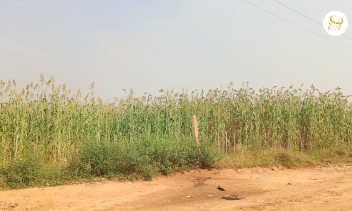 La campagne agricole 2025-2026 entre espoir et vigilance