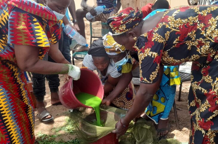 Les coopératives, véritables moteurs de développement au Mali