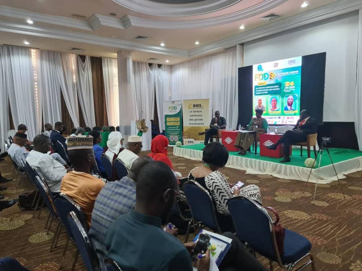 Le marché carbone, une nouvelle opportunité pour le secteur privé malien ?