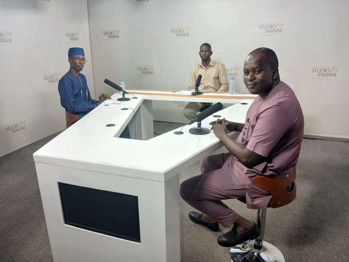 Dissolution des partis politiques : la procédure renvoyée devant la cour constitutionnelle